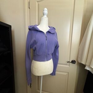 Purple Cropped Hoodie